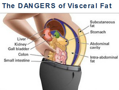 Dangers Of Visceral Fat 8