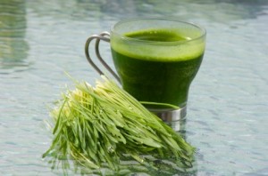 wheatgrass