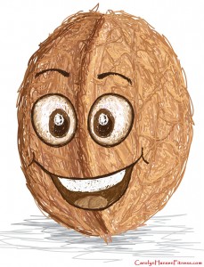 walnut