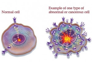 cancer_cells