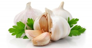 garlic1